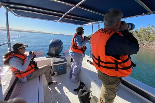 La Paz Mexico Sunset Cruise with Local Guides : small group