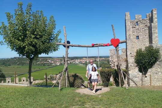 Coimbra Medieval Castles Guided Tour