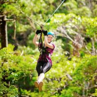 Ziplines