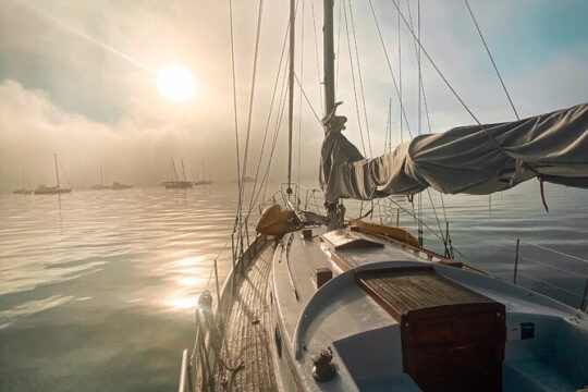 Afternoon Sail - Bay of Islands Vigilant Yacht Charters