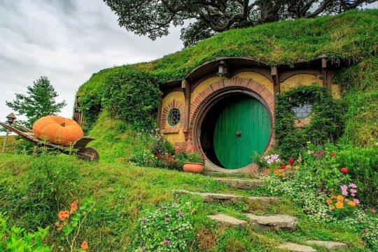Hobbiton Tour From Auckland