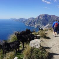 Multi-day Tours