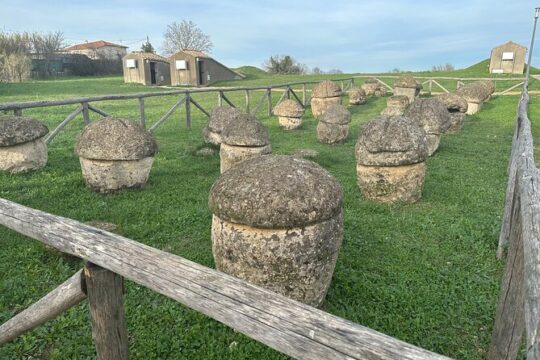 Tarquinia Etruscan Necropolis and National Museum Private Tour