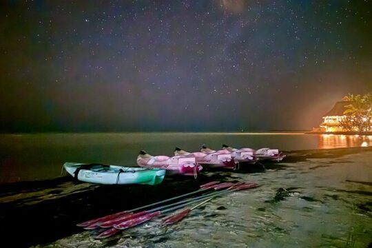 Holbox Kayak Bioluminescence Experience
