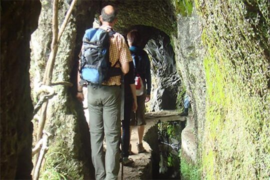 Laurissilva Forest Walk