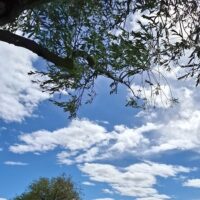 Overnight Tours