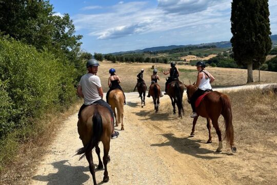 Horseback Riding Experience