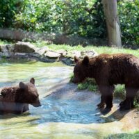 Zoo Tickets & Passes