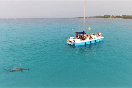 Catamaran Trip in the Gulf of Asinara from Stintino