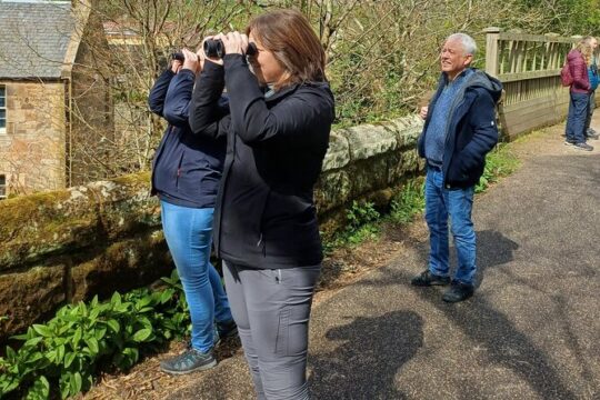 Wildlife, History, Nature Walking Tours from Edinburgh