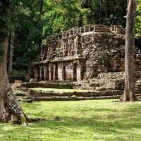 Multi-day & Extended Tours