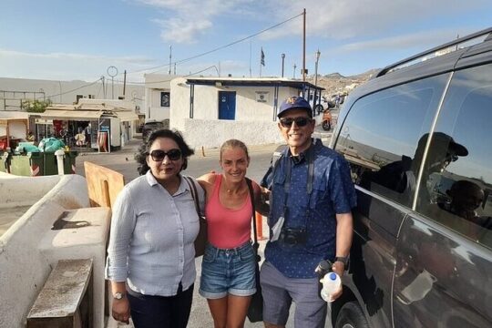 Private Mykonos Tour from New Port to Airport