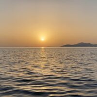 Fishing Charters & Tours