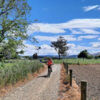 Eco Tours