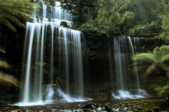 Hobart Cruise Ship Tour Mt Field National Park and Wildlife