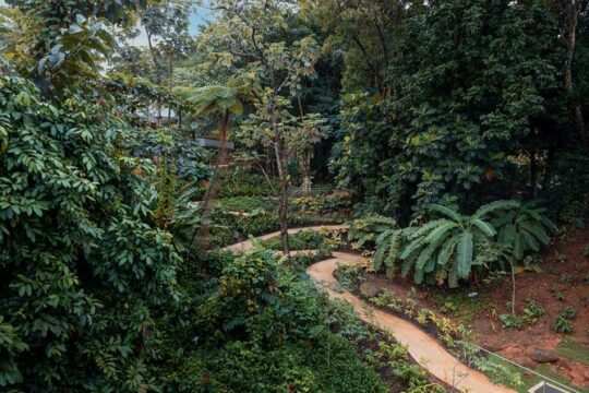 El Yunque Private Bus Tour