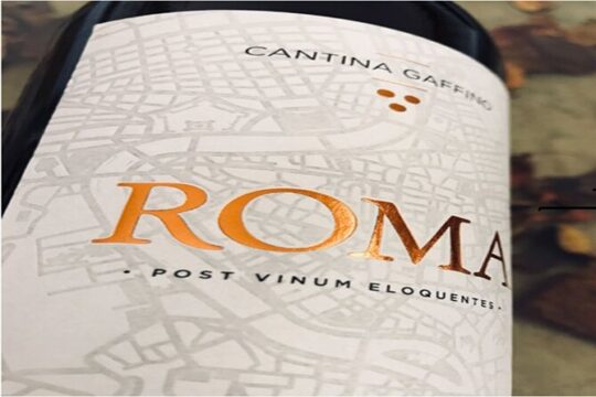 Private Tour from Rome with Wine Tasting in Lazio