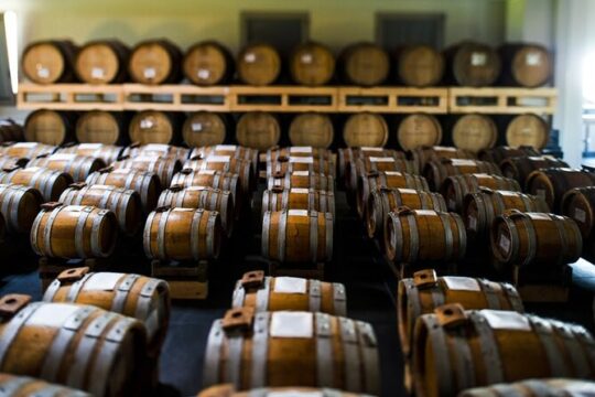 Visit at Modena Balsamic Vinegar producer