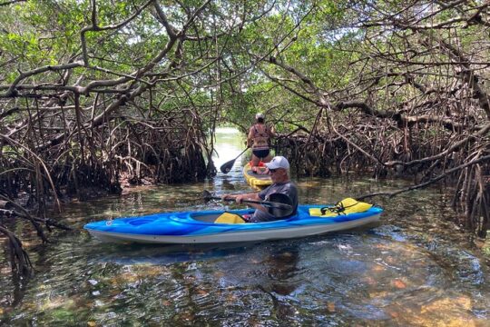 Half Day Rental to John's Pass Sandbar & Mangrove Tunnel