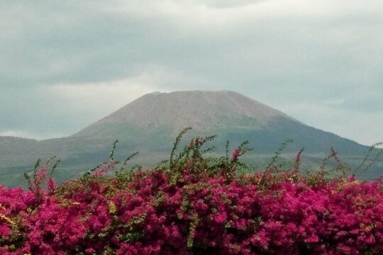 Naples Cruise Port: Pompeii SkipTheLine & Mt Vesuvius Lunch WineTasting Included