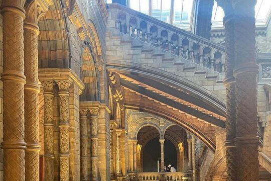 Women's in the Natural History Museum