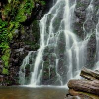 Cultural & Theme Tours