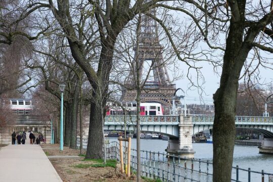 Arc de Triomphe and Eiffel Tower 2nd Floor Access Combo Pass