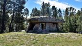 Amazing ruins and amazing guide!