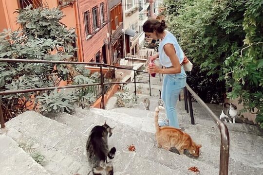 Off Beaten Path of Istanbul: Beşiktaş-Ortaköy-Arnavutköy Private Guided Tour