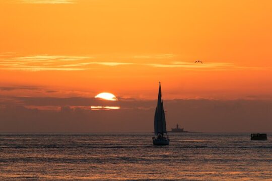 Sailing boat experience at sunset in the Tejo River