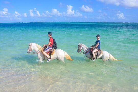Punta Cana Horseback Riding Adventure