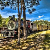 Holiday & Seasonal Tours