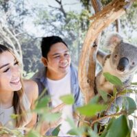 Zoo Tickets & Passes