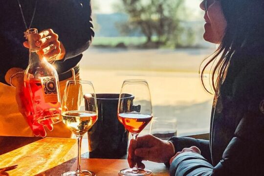 Guided Tour in Lugana DOP - 3 wines from Perla del Garda