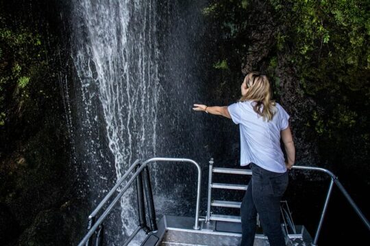 Western Bays Sightseeing Tour from Kinloch Lake Taupo
