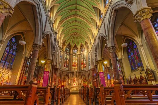 Dublin City & St Patrick's Cathedral Half-Day Tour by Car