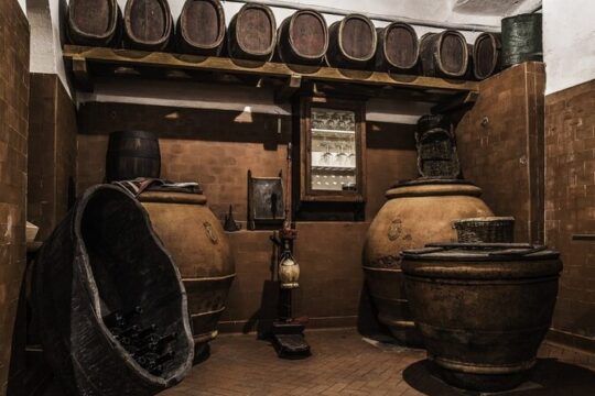 Explore and Savor 3 Exquisite Wines at Tenuta Bossi