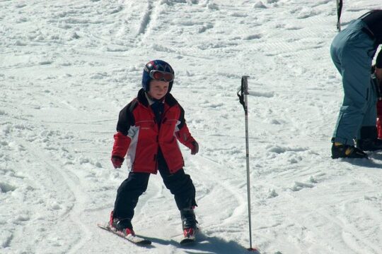 Vogel Ski Center: Half Day Skiing with Instructor