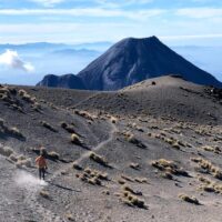 Multi-day & Extended Tours