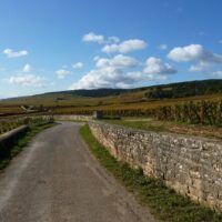 Tours & Sightseeing