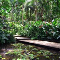 Cultural & Theme Tours