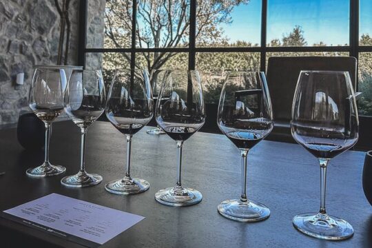 Private Wine Tour in Santa Barbara Wine Country