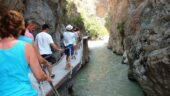 Turkey at its best