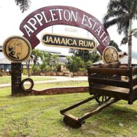 Private & Custom Tours