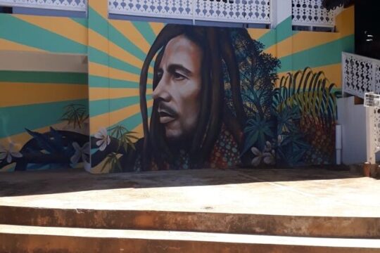 Bob Marley Nine Mile Sightseeing Tour from Falmouth
