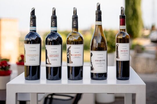 Tasting 5 Wines in Valpolicella with Taralli