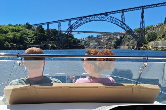 Cruise in the Douro: Heritage, nature and landscapes