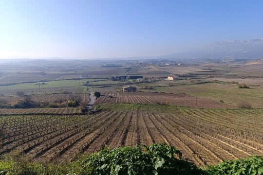 3D2N Private Tour to Rioja From Madrid