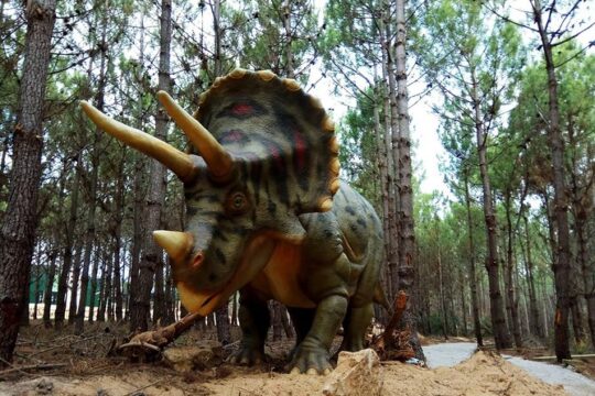 Family Fun Trip to Dino Park and Óbidos - from Lisbon