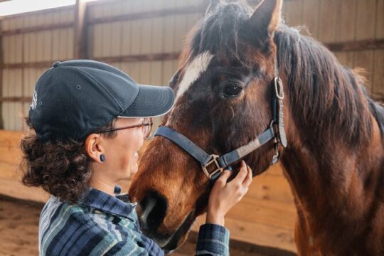 Hands On Horse Relaxation and Connection Experience